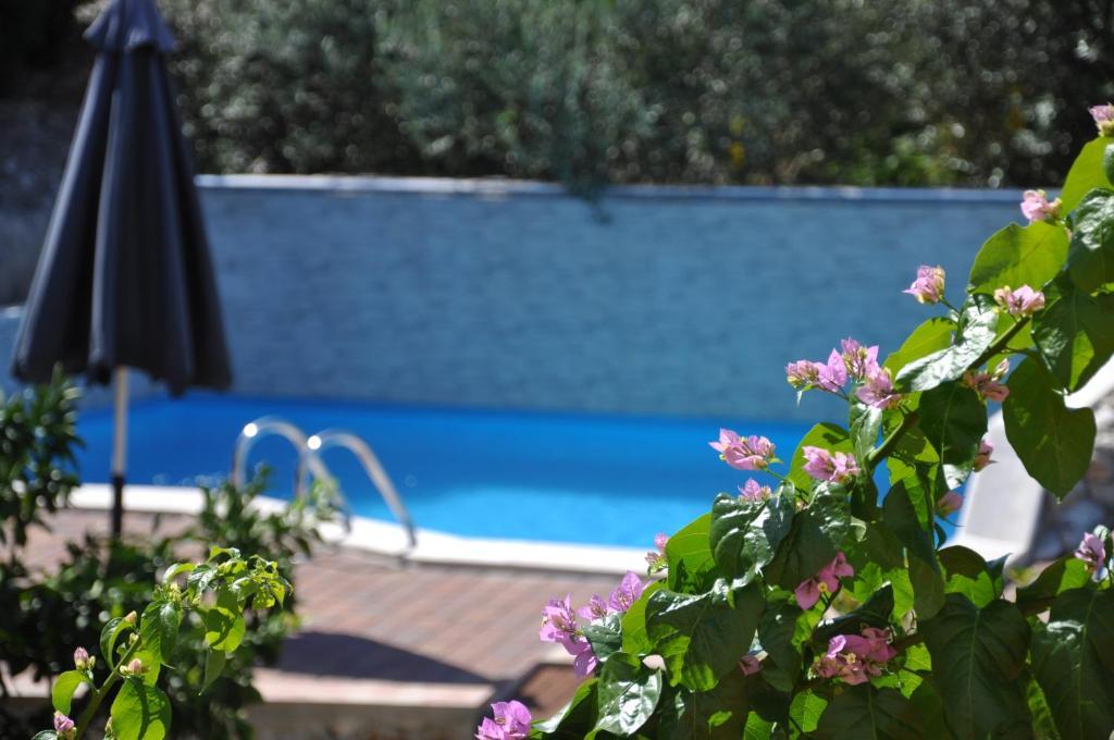 Villa Donna Τρογκίρ Εξωτερικό φωτογραφία