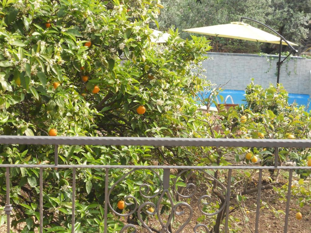 Villa Donna Τρογκίρ Δωμάτιο φωτογραφία